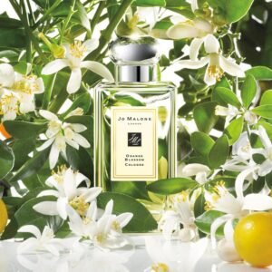 Jo Malone London Orange Blossom Cologne